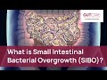 What is Small Intestinal Bacterial Overgrowth (SIBO)? | GUTCARE