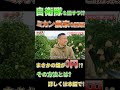 【脱サラ自衛隊】自衛隊から脱サラしてミカン農家を開業！？畑の利用料はいくら？まさかの０円 shorts 切り抜き 脱サラ 自衛隊