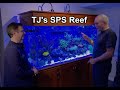 TJ's 187g Reef 4K