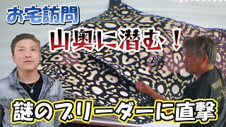 【お宅訪問：シミズさん】エイを格安で売れる理由がついに判明！山奥で繁殖させているブリーダーに突撃