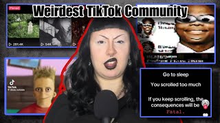 Exploring The TikTok Farlands