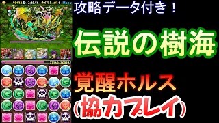 覚醒ホルスで協力プレイ【パズドラ】伝説の樹海　攻略データ付き【コンテあり】