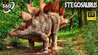 VR Jurassic Encyclopedia #14 - Stegosaurus dinosaur facts 360 Education