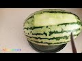 آموزش میوه آرایی هندونه به شکل گل👌🍉