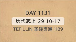 Tefillin [Day 1131] 历代志上 29:10-17 宣布圣经 5次