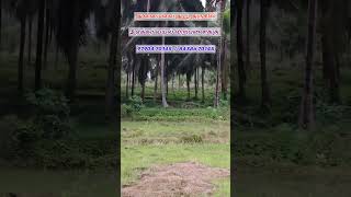 ஆனைமலை ஆத்துக்கு அருகில் 3 ஏக்கர் வயல் விற்பனைக்கு #shorts #farmland #viralvideo #trending