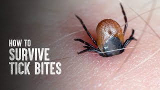 How to Survive Tick Bites