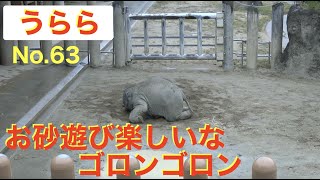 お砂でゴロンゴロン楽しいな💕アジアゾウ赤ちゃん63★うららちゃん★sand play★東山動植物園★Baby elephant★