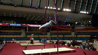 WIBYE Harald (NOR) - 2018 Artistic Worlds, Doha (QAT) - Qualifications Rings