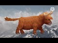 YAK - Learn Animals | Yak - Letter Y