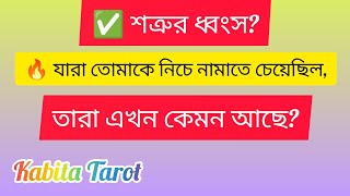 ✅যারা তোমাকে নিচে নামাতে চেয়েছিল, তারা এখন মুখ থুবড়ে পড়েছে? বাংলা টেরট রিডিং 🔮