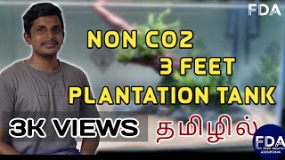 40 #NonCO2 3 feet #plantationtank setup in Tamil ||#Aquarium_tips||#plantation_tips|Aquarium hobby.