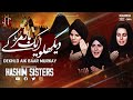 Dekhlo Aik Baar Murkay | Hashim Sisters Ali Akbar Noha 2022 | Muharram 1444 | New Nohay 2022
