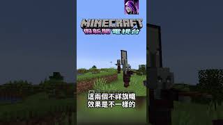 寙民真的是從村民變來的!! 不祥旗幟居然有色違版!!! #minecraft #我的世界 #當個創世神 #麥塊 #舞秋風#假新聞