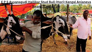 E P 5 Ayyanagudi Hallikar Stud Bull (Hori) Kengal Anjaneya Swami  Cattle Fair