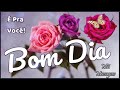 Bom dia / Te desejo felicidade / Mensagem de bom dia