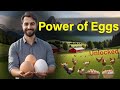 Surprising Benefits of Eating Eggs Daily!