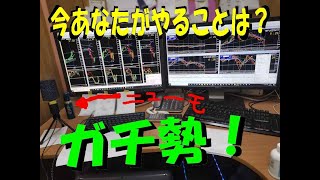 12/4　雇用統計前！　まったりライブ配信　サインツールで勝てる方法　【ハイローオーストラリア】