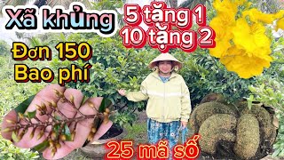 27-12-2024☎️0333492576📲xã lớn do đơn 150 bao phí và 25 mã số cả nhà ủng hộ