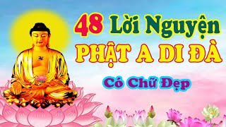 48 LỜI NGUYỆN PHẬT A DI ĐÀ ( có chữ ) TT Thích Trí Thoát  đọc tụng