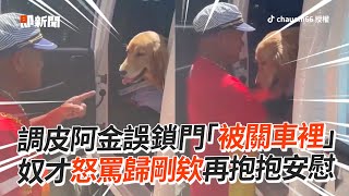 調皮阿金誤鎖門被關車裡　奴才焦急教訓秒抱抱安慰😆｜寵物動物｜黃金獵犬｜精選影片