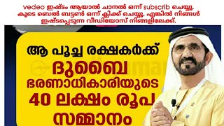 പൂച്ച രക്ഷകർക്കു ദുബായ് ഭരണാധികാരിയുടെ 40 ലക്ഷം /PRANAV TIPS \u0026 ENTERTEINMENTS