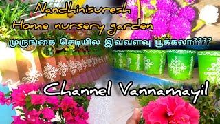 என்னோட மாடிதோட்ட என்னென்ன செடிகள் இருக்கு எப்படி இவ்வளவு வருஷம்#அனுபவங்கள் பகிர்ந்துள்ளேன்experience