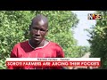 soroti farmers are juicing their pockets