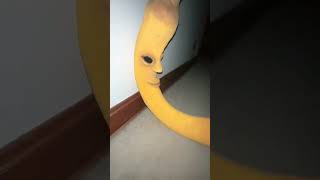 Unleashing the Untold Story of #shorts and #short: The Mysterious Banana Fart