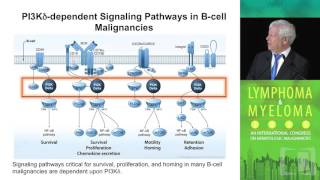 Targeted Inhibition of Signal Molecules as Novel Therapy For CLL