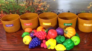 Learn Colors with Fruits & Veggies!