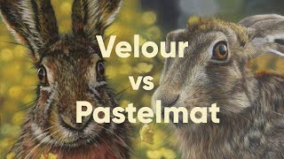Velour VS Pastelmat: Pastel Paper Comparison