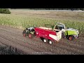 mais silage claas jaguar arions fendt brouwer u0026 van geresteijn 2020