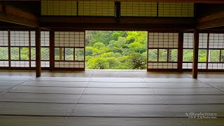 4K 福岡県 柳川立花氏 松濤園 柳川松濤園 日本