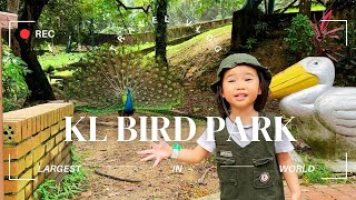 KL Bird Park | It is beyond our imagination!