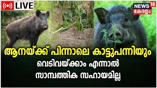 LIVE | Wild Boar Attack | Kerala Forest Department | A K Saseendran | Kerala News| Malayalam News