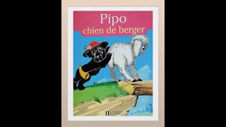 📚 Lecture : Pipo chien de berger 🐶🐑💕