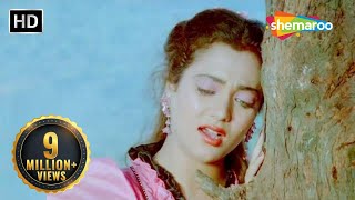 Aawaz Hamari Isi Vadi Mein (Part 2) | Shoorveer (1988)| Mandakini |Kavita Krishnamurthy | Hindi Geet