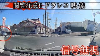 ドラレコ映像《信号無視事故 普通車×普通車》