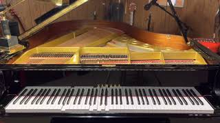 Eighth Wonder by Lemon Demon | Player Piano Arrangement