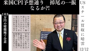 2024年12月12日●米国CPI予想通り　掉尾の一振なるか?●103万円の壁撤廃で合意　補正予算合意