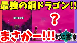 【ポケモンソードシールド】やっとゲット！？鋼タイプのドラゴンポケモン！冠の雪原【エキスパンションパス】