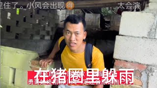 小勇真诚向小凤道歉，小凤的回应来了，遭网友吐槽看网友说了什么