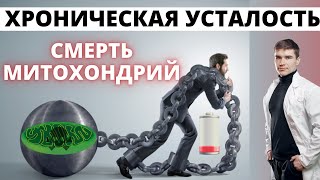 Хроническая усталость, Митохондрии, качество жизни. Не хватает энергии чтобы мыслить и тренироваться