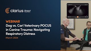 Dog vs. Car! Veterinary POCUS in Canine Trauma: Navigating Respiratory Distress