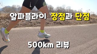 알파플라이의 장점과 단점은? 500km를 달리면서 느꼈던 나의 생각들 / Nike Alphafly