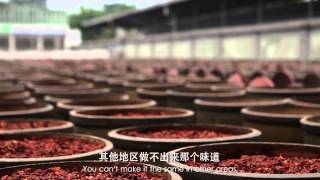 Douban-The Journey of The Chilli 豆瓣的奇妙之旅（川菜豆瓣酱 红色主题鲜红生命）【Looking China看中国】