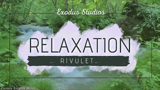 R I V U L E T  - Calm and Relaxing Ambient Music - Exodus Studios