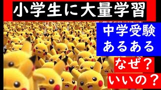 【恐怖】小学生に大量学習させる中学受験は本当にいいの？【パワー読解・国語偏差値が15上がる！中学受験塾ch】