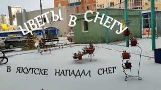 Снег засыпает улицы. Гололед. Скользко. Опасно ходить. Якутск. Октябрь. Осень